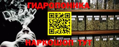 гашик Владивосток