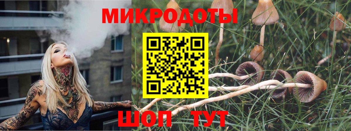 Псилоцибиновые грибы MAGIC MUSHROOMS Лысьва