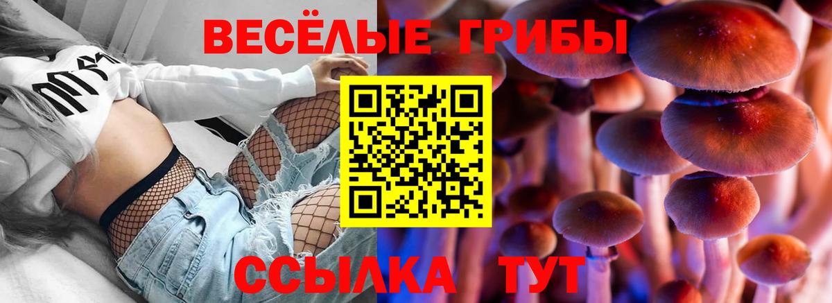 Псилоцибиновые грибы мухоморы  Галлюциногенные грибы Magic Shrooms  цены наркотик  Вход с VPN  Лысьва 